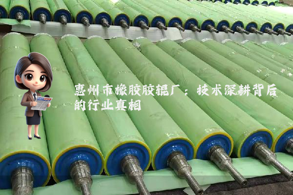 惠州市橡胶胶辊厂：技术深耕背后的行业真相